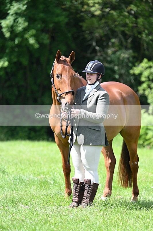 WJ7_1482 - Class 11 Condition & Turnout