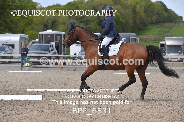 BPP_6531 - 24 L HAMILTON