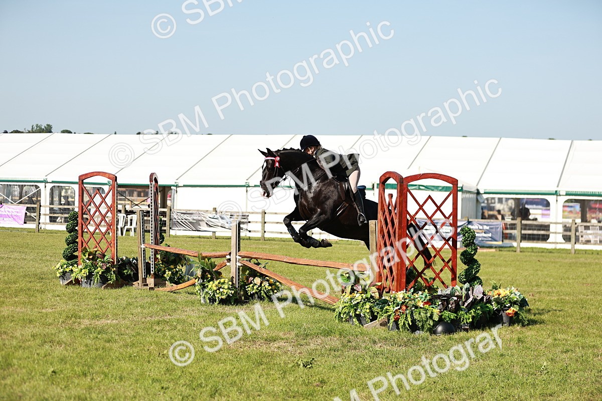 SBM_19190 - Class 115-116 - LIHS BSHA Rising Star Working Hunter & Show Horse