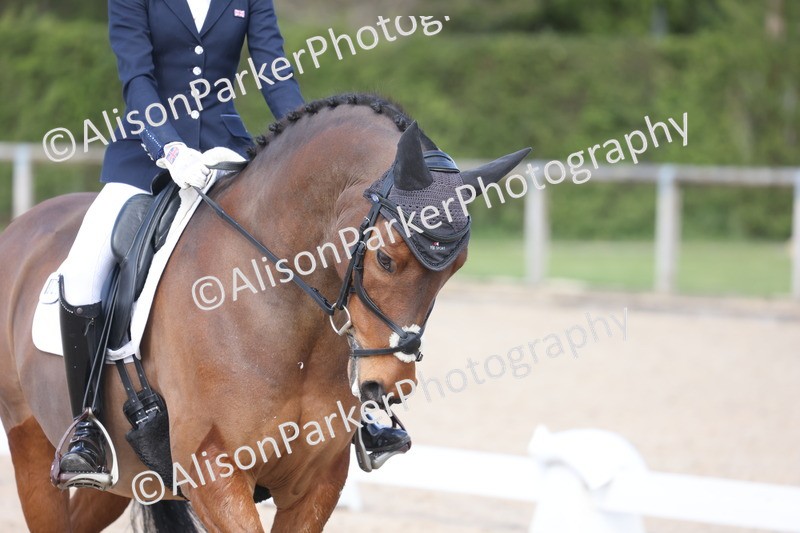 20260405-0908 - Pony FEI