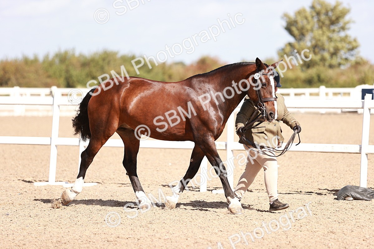 SBM_22956 - Class 707 - IH groom Helpers Class