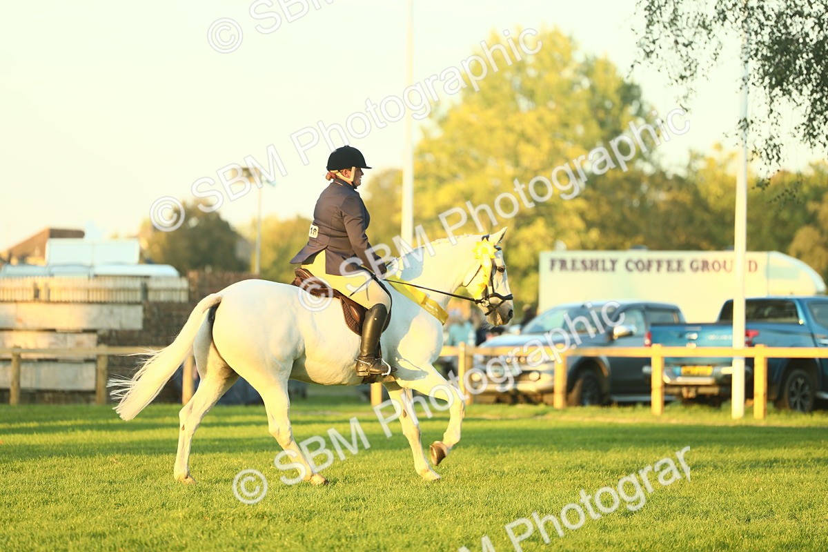 SBM_56616 - Fun & Versatile Supreme Championship