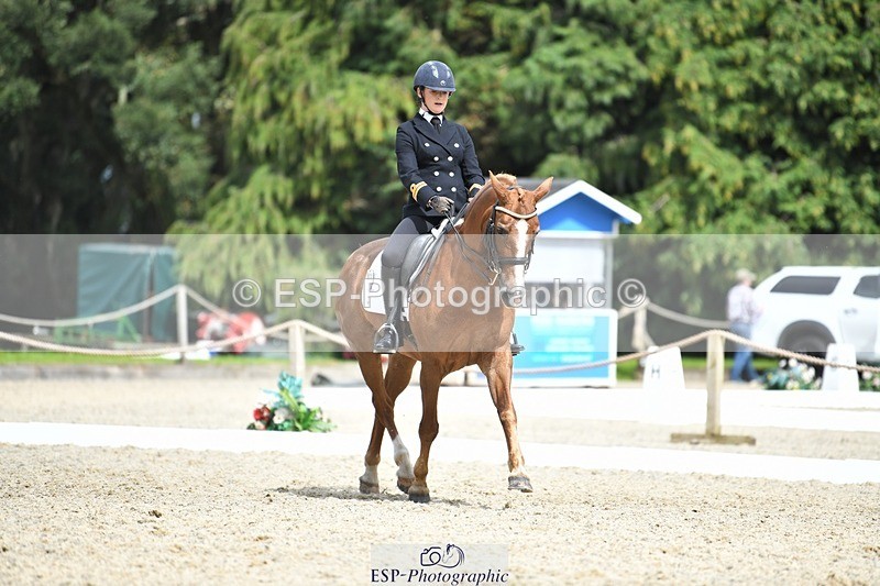 230812-141444-04643 - Cls 7 FEI PSG Bronze