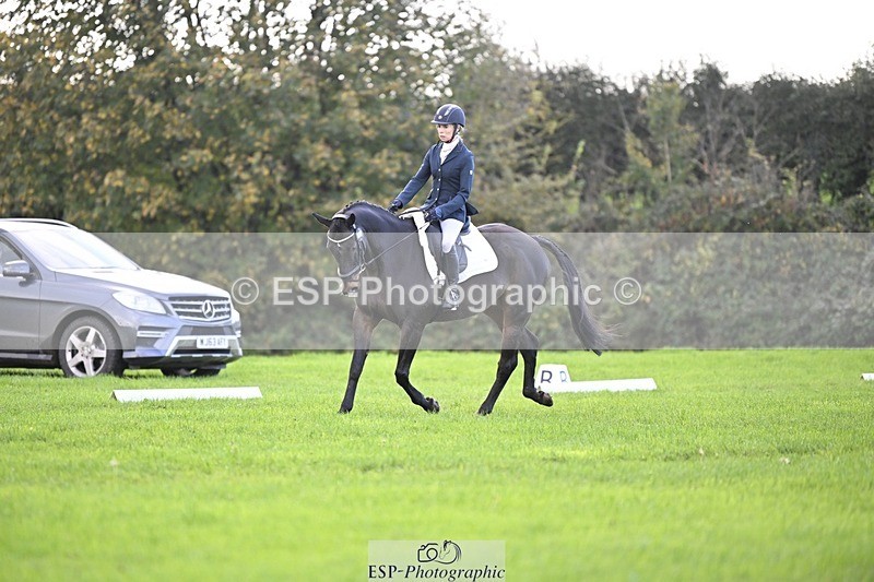 241025-094202-05601 - 353-Cheryl.Beer-LANGALLER.ALPHA.BRAVO