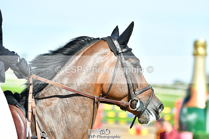 230723A-160253-13551 - Cls 36, 7 Yr Olds 1.30m