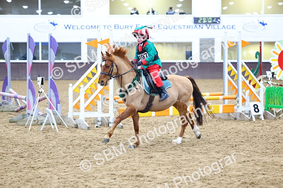 SBM_001365 - Class 3 - Christmas Tree Stakes - 60cm