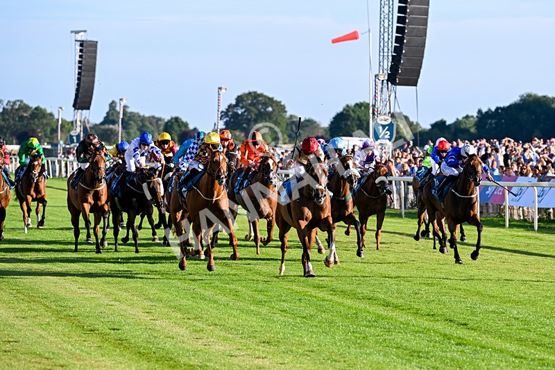 240726-Race 4-Rajaking-5321 - Race 4 19.15pm Tomahawk Handicap