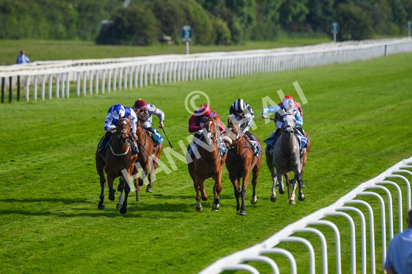 160623-Race 7-Diamond Bay-0756 - Race 7 5.21pm Constant Security Handicap