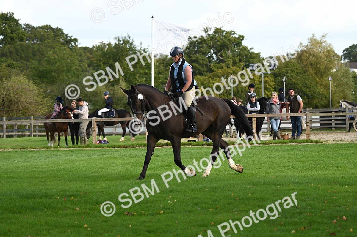 SBM_02042 - S2 - TSR Ridden Horse Showing