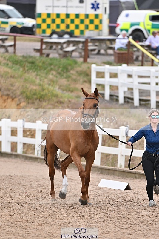 250716-141106-00953 - Trot Up 1.30 to 2.30