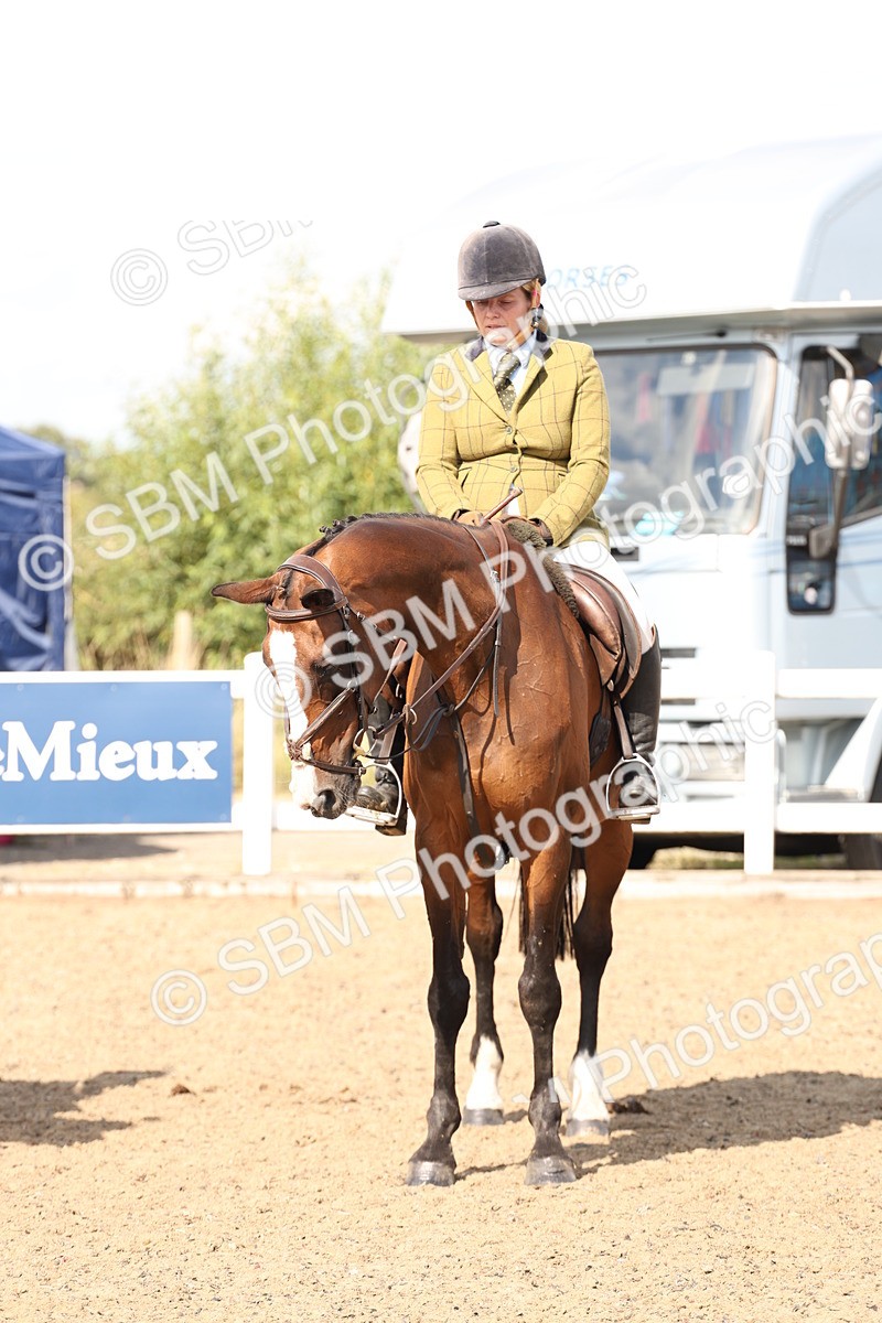 SBM_07410 - Class 58b -  Style & Performance - 70cm (20+)