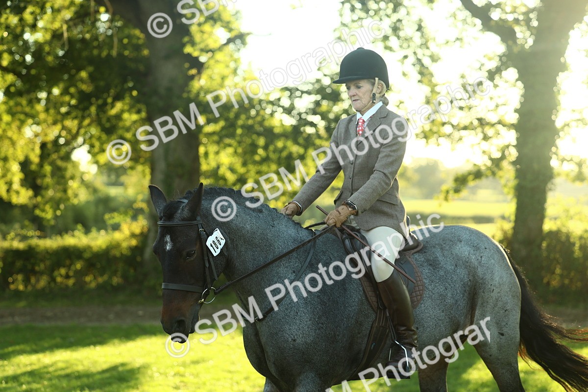 SBM_55634 - S14 - Riding Club Horse
