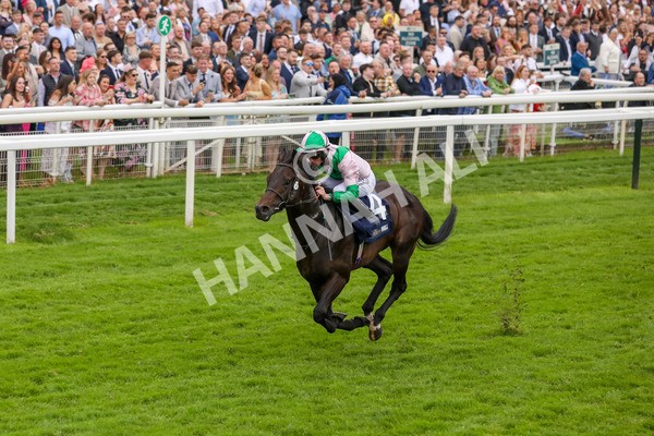 250524-Race 3-Starlust-3083 - Race 3 2.45pm William Hill Extra Place Races Daily Handicap