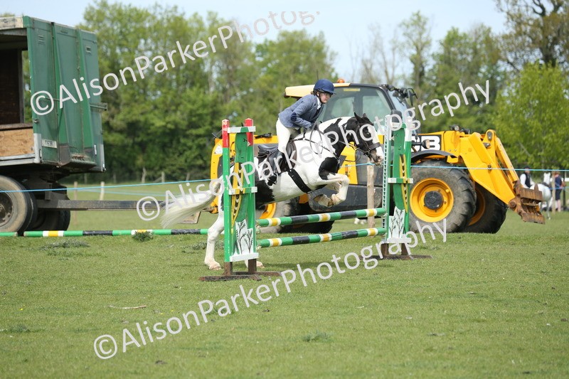 20260426-2051 - Class 15 - Absolute Novice 70cm
