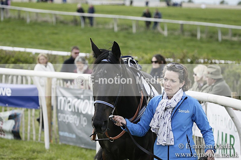 PtP 170417 395 - Old Berks Point-to-Point Lockinge 17/04/17