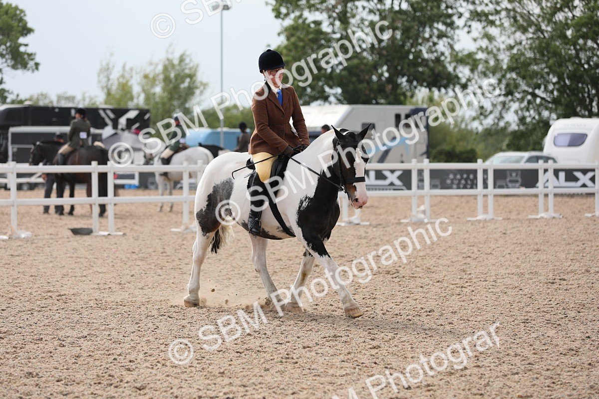 SBM_16970 - Class 314 Family Horse/Pony