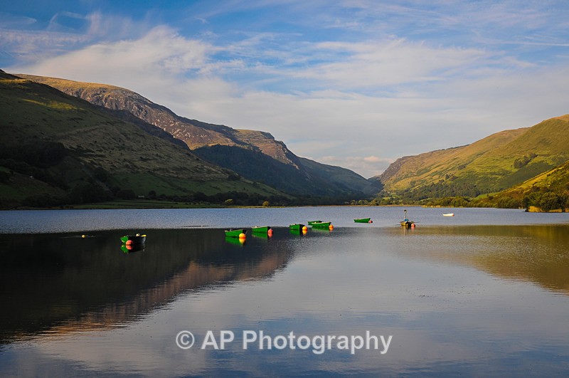 Llyn Talyllyn-ACP_8835 - Lakes