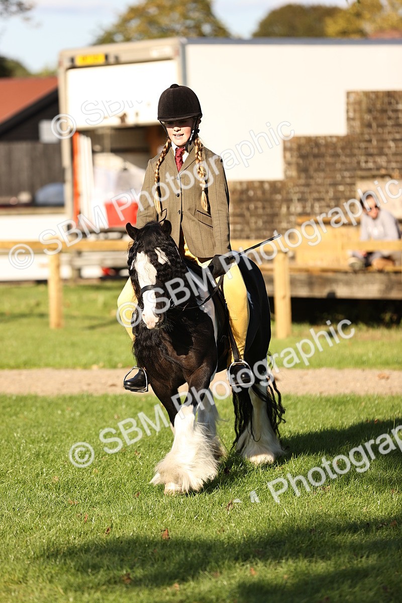 SBM_29423 - S7 - Novice & Newcomers Ridden Pony