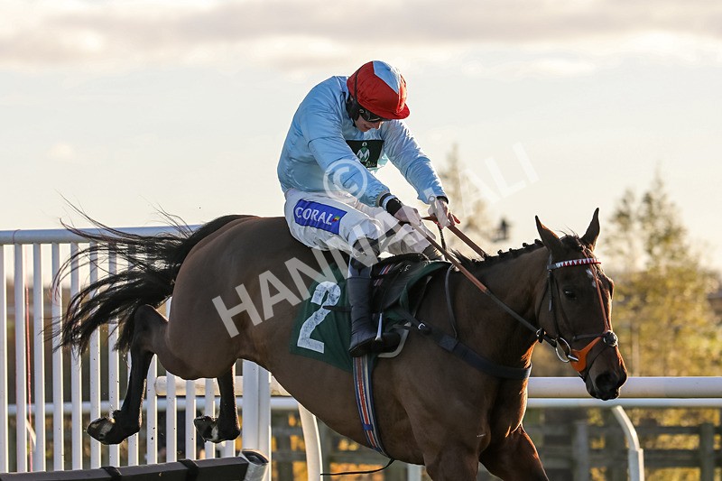 241123-Race 5-Bugise Seagull-1240 - Race 5