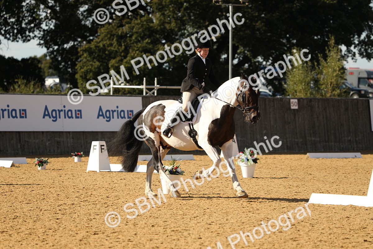SBM_26834 - D17 - Grand Tour Championship - Novice 27
