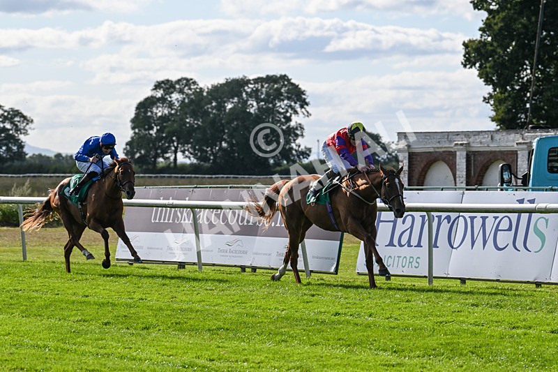 160824-Race 1-Thunder Wonder-8804 - Race 1