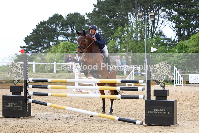 3E7A7885 - Class 8: Senior Foxhunter/1.20 open