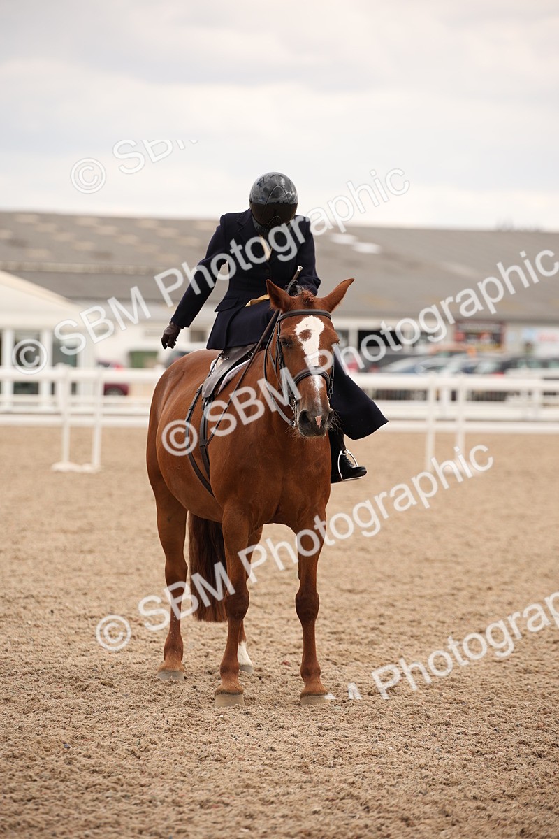 SBM_05477 - Class 22 SSA Equitation