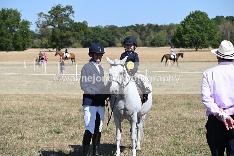 WJ6_8143 - Class 36 Lead Rein