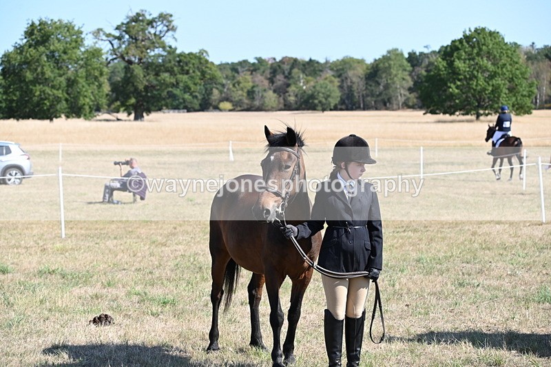 WJ6_7616 - Class 34 Judges Choice