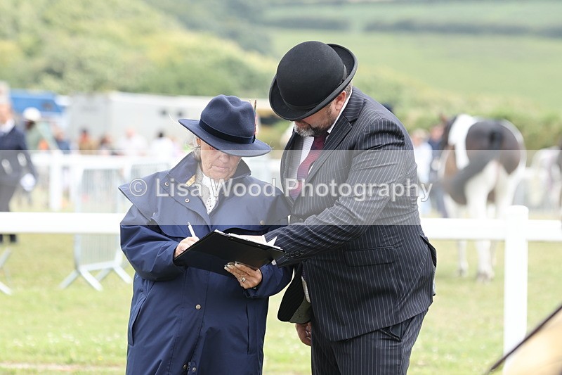 JPP_1966 - Class 18: Tiny Tots Working Hunter Pony