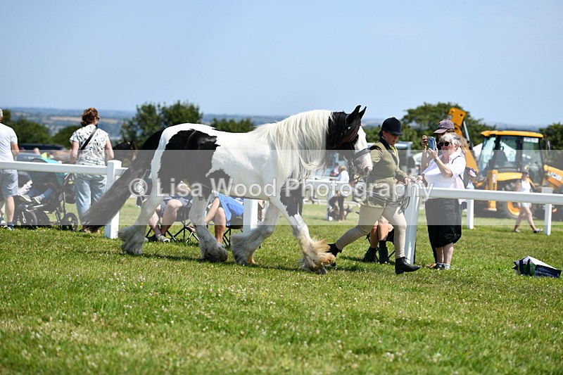 DSC_7622 - Class 64: Coloured Pony 4yrs & over
