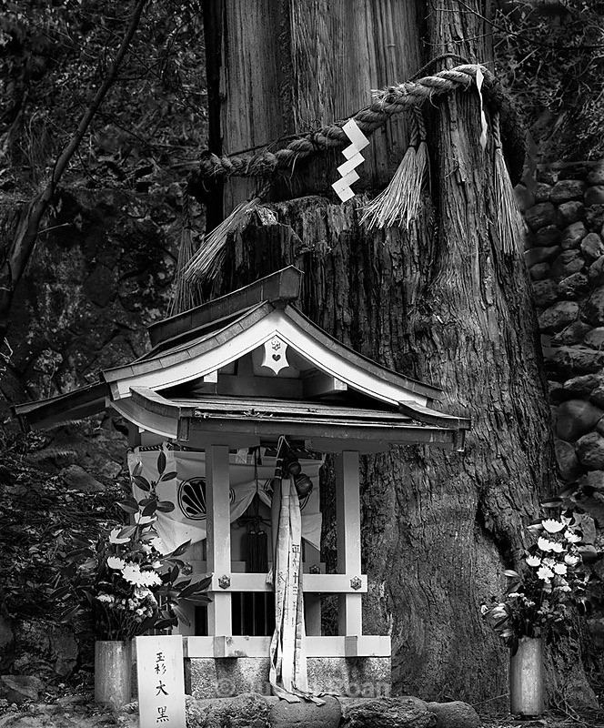 Kurama Shrine with Shimenawa - Palladium Prints by Ron Reeder