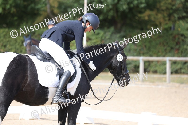 20250820-1487 - Class 20 - Medium 4