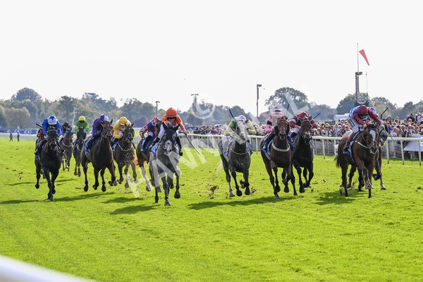 111025-Race 2-Grey Cuban-0246 - Race 2 Coral 'Pipped At The Post' Handicap at York