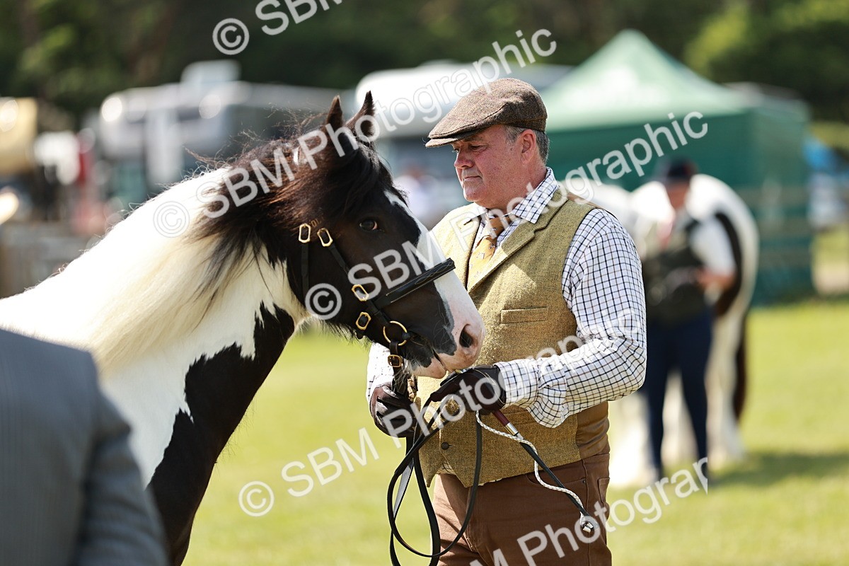 SBM_04252 - Class 39-40 - BSPA Coloured In Hand