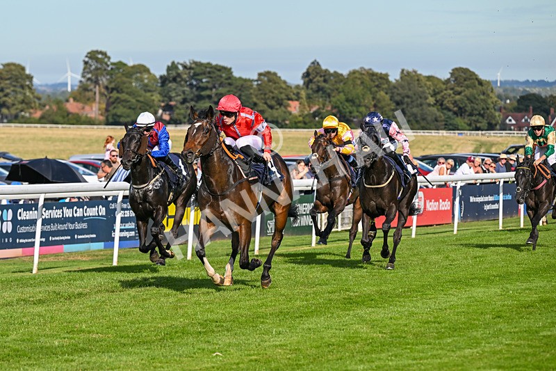 220926-Race 5-Go Victor-4357 - Race 5 3.50pm John Allinson 90th Birthday Handicap