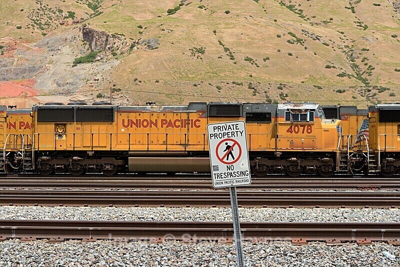 11th July 2019 - Salt Lake City, UT