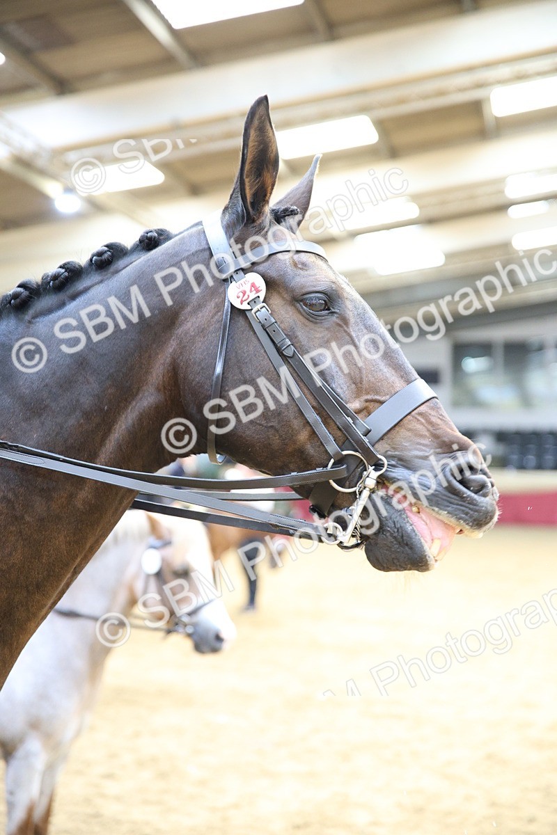 SBM_24242 - Class 905 - Supreme Final - Ridden Veteran