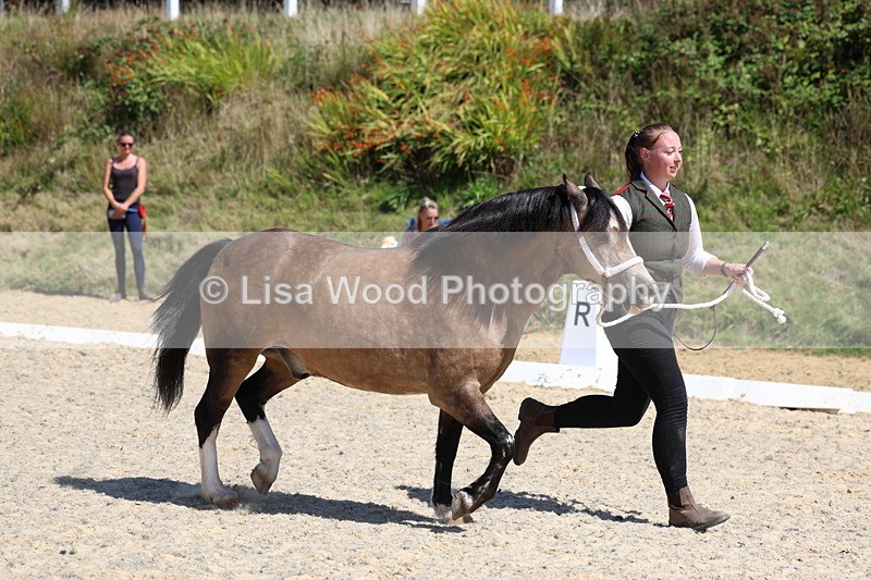 3E7A9686 - Class 32: Best Grass Kept