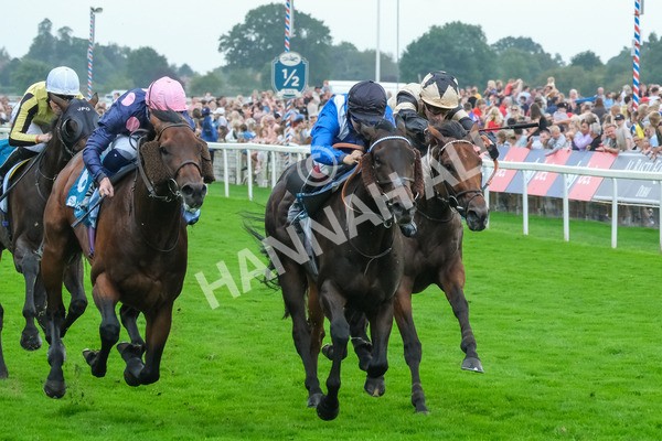 080925-Race 5-Elmonjed-9440 - Race 5 4.30pm Sky Bet Starman Garrowby Stakes