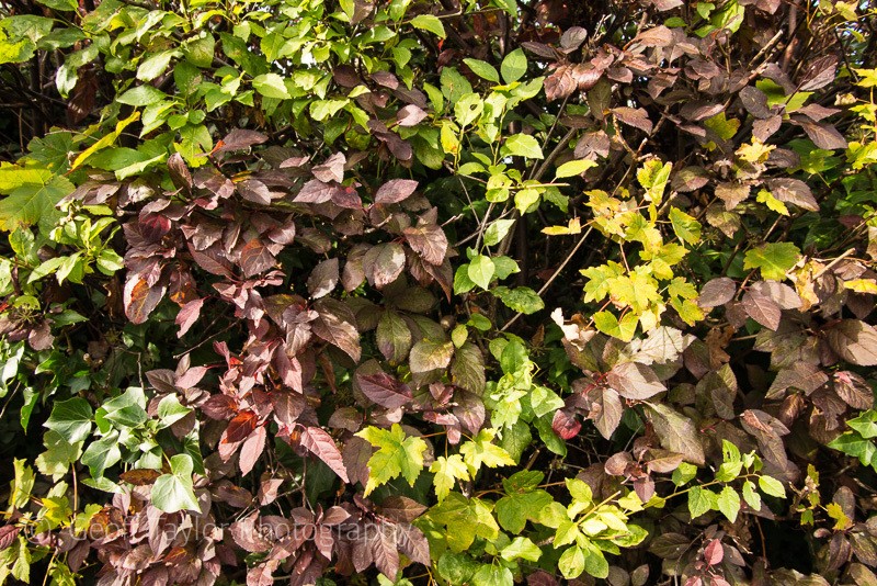 Colour & Texture 5 - Mindfulness and Meditation