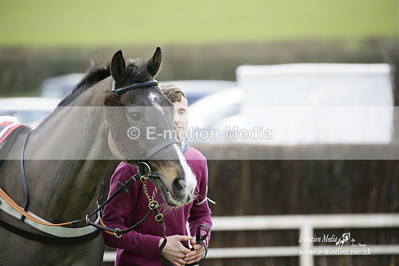 PtP 300122 424 - South Dorset Hunt - Point-to-Point Races 30/01/2022