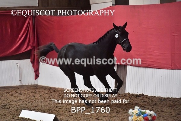 BPP_1760
