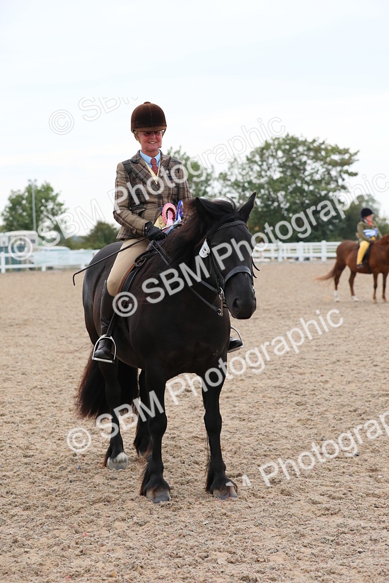 SBM_18252 - Class 316 Best Pony/Rider Combination