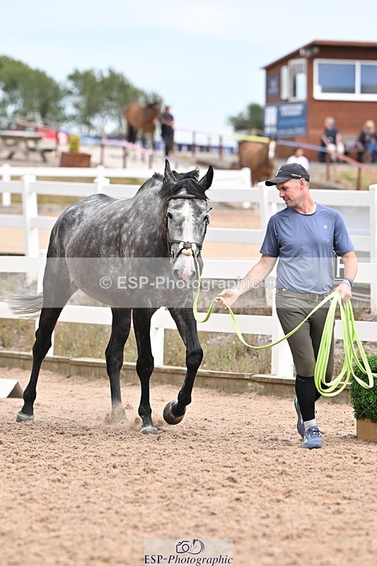 250716-162024-02582 - Trot Up 3.30 to 4.30