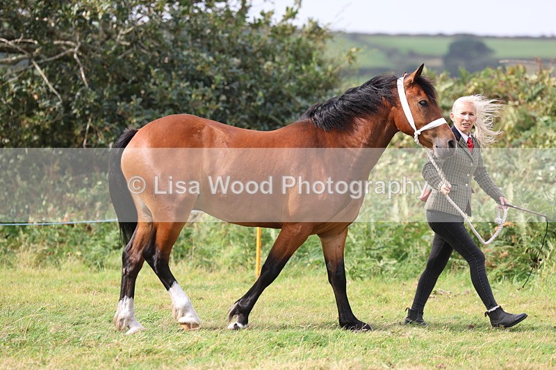 3E7A4316 - Class 15: Three Year Olds