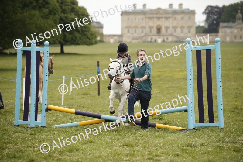 20250517-0110 - Class 1 - 30cm On Lead Rein