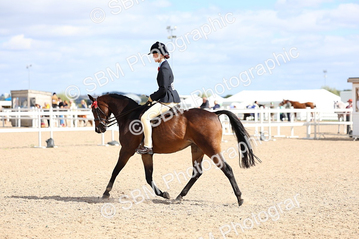 SBM_13281 - Class 311 - Ridden Show Pony Show Hunter Pony