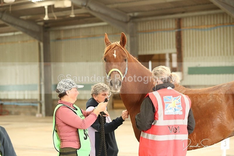 SPXX3546 - Vetting