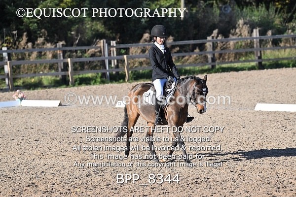 BPP_8344 - LONG ARENA